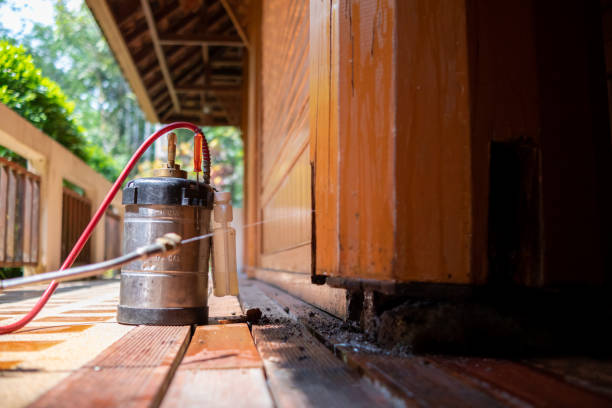 Best Mosquito Control Services  in Tillson, NY