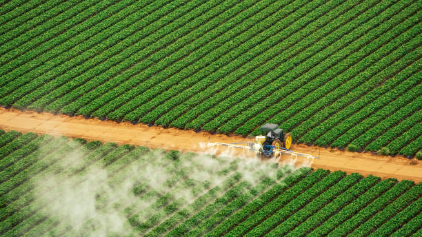 Pest Control Cost in Tillson, NY