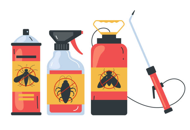 Reliable Tillson, NY Pest Control Solutions