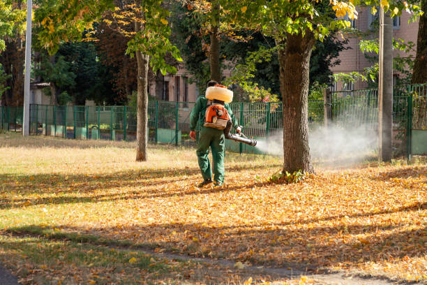 Best Cockroach Control Services  in Tillson, NY
